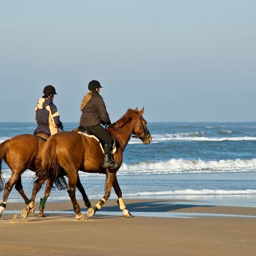 self catering accommodation, wild waters, wild waters guest house, wild waters self catering, wild waters, family accommodation, family self catering accommodation