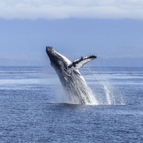 wild waters hermanus, luxury accommodation, self catering accommodation